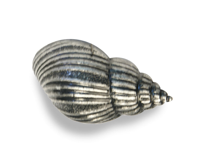 Meubelgreep model schelp 61 mm, oud zilver